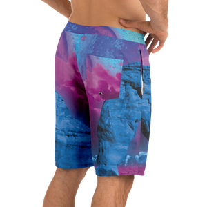 The Visitor Board Shorts