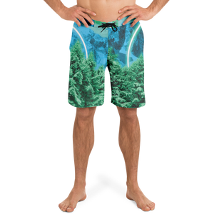 Minty Wonderland Board Shorts