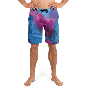 The Visitor Board Shorts